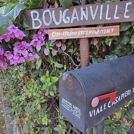 Casa Vacanze “Bouganville” Loc Avane Pisa Vecchiano Exterior foto